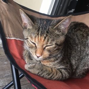 Meet your Posher, Krystal